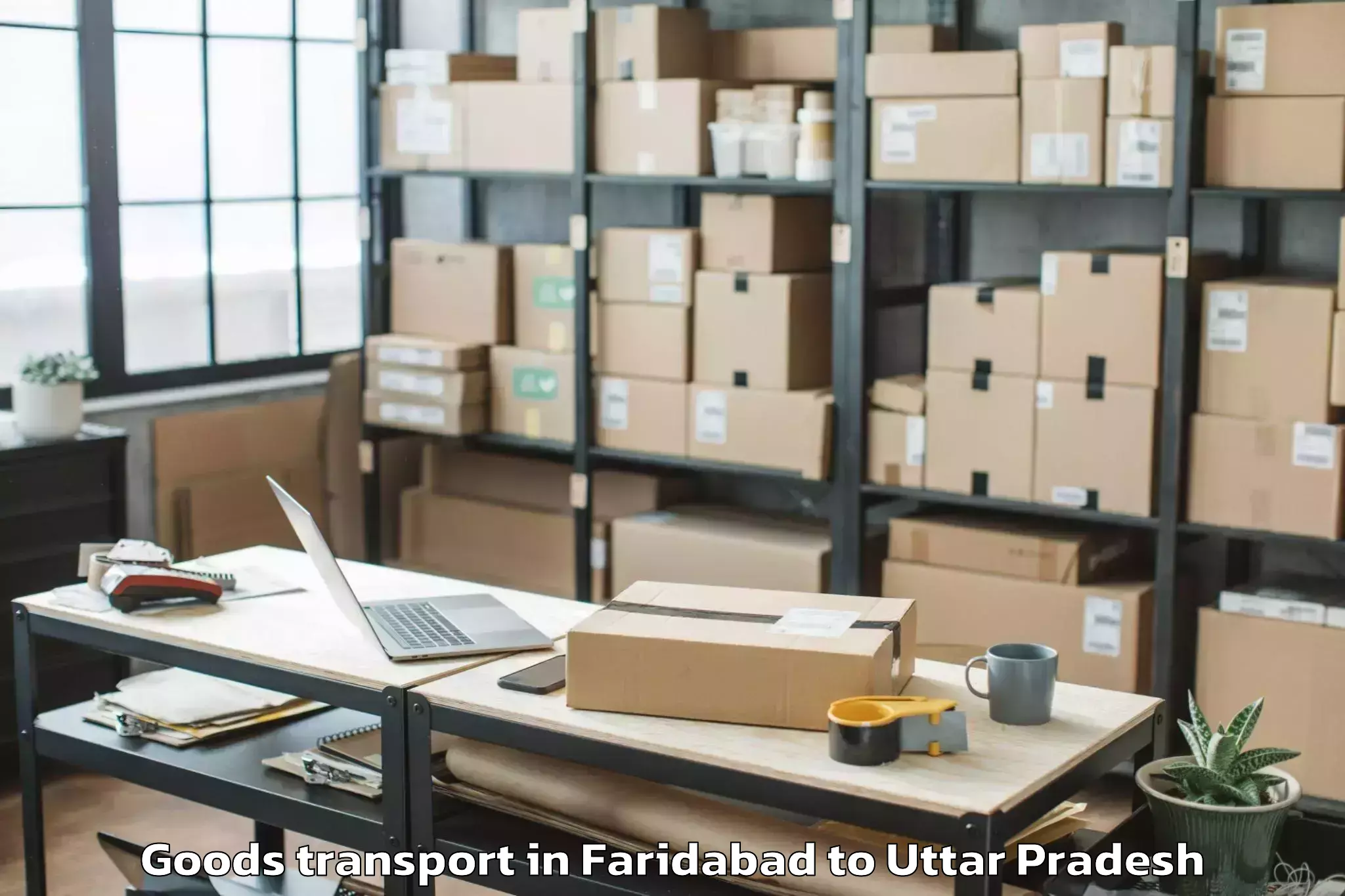 Affordable Faridabad to Kabrai Goods Transport